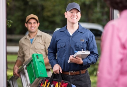 Are Tree Roots Damaging Your Drains?